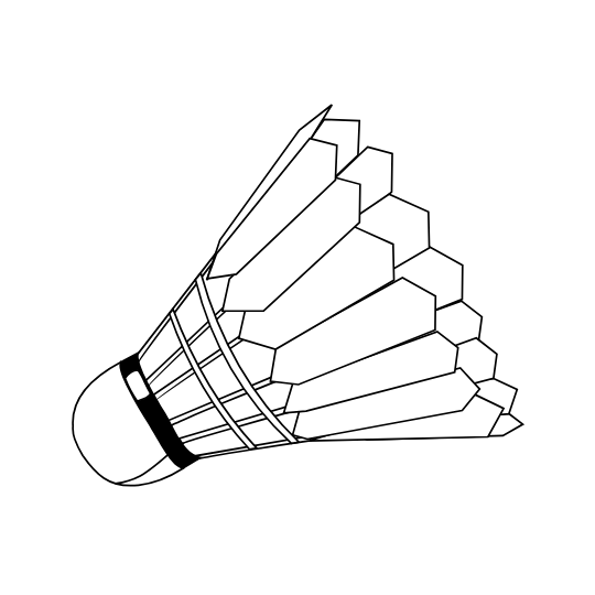 ลูกขนไก่ Shuttlecocks